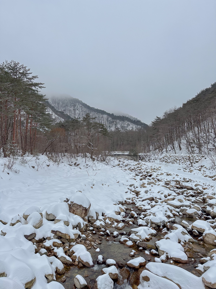 속초여행코스 한화리조트 설악쏘라노 위글위글 콜라보 설악워터피아