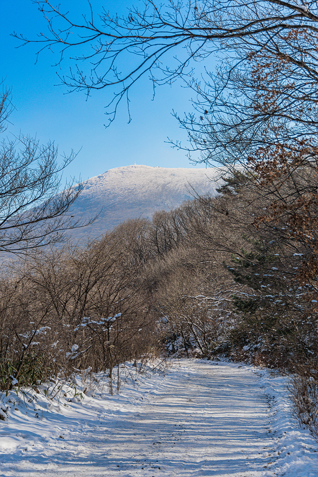 전라도 겨울 여행지 추천 무등산 국립공원 서석대 눈꽃 산행
