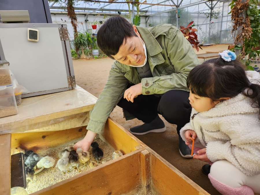 파주 나눔농장~ 토끼에 빠진 아이~