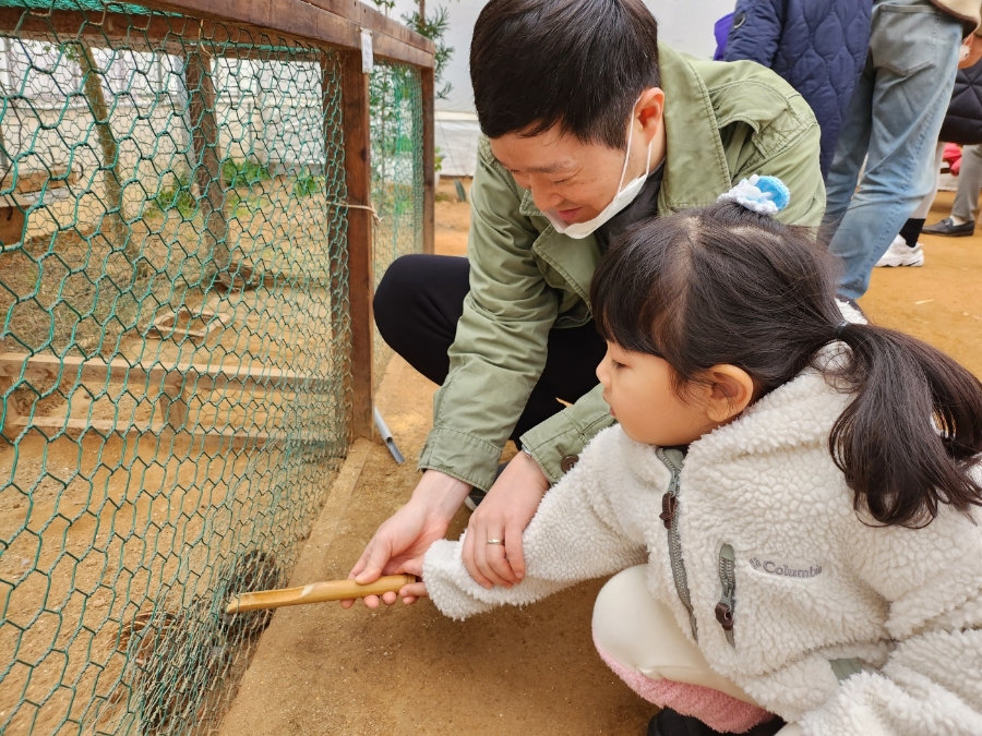 파주 나눔농장~ 토끼에 빠진 아이~