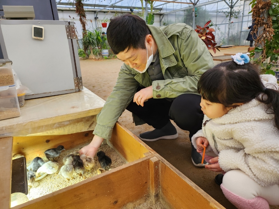 파주 나눔농장~ 토끼에 빠진 아이~