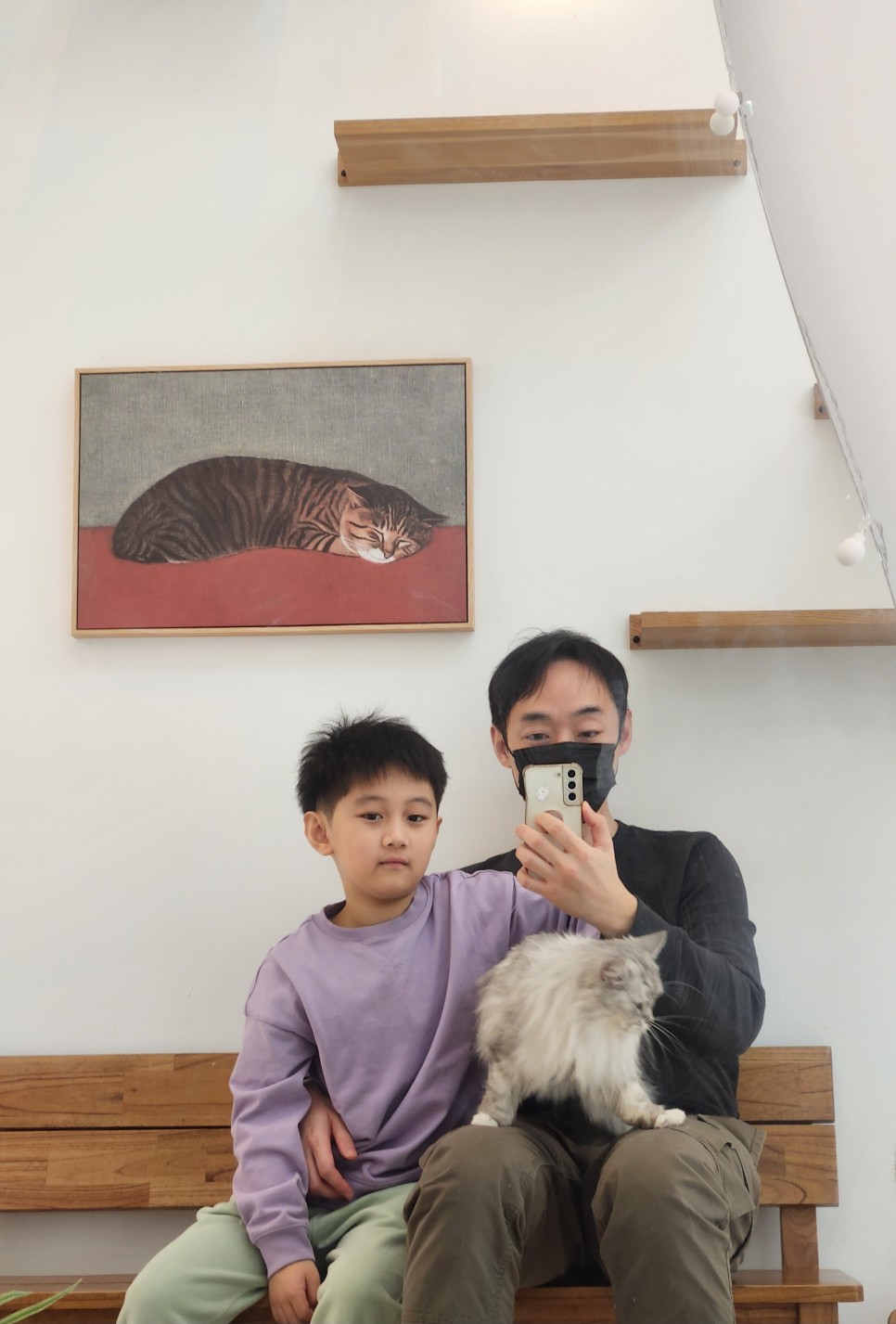 김포 고양이 카페 고영주택 방문기