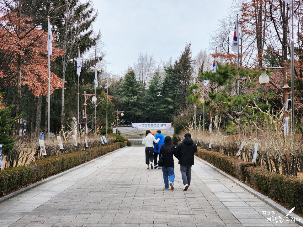 서울 압구정 도산공원 가볼만한곳 강남 핫플 데이트 로데오 놀거리