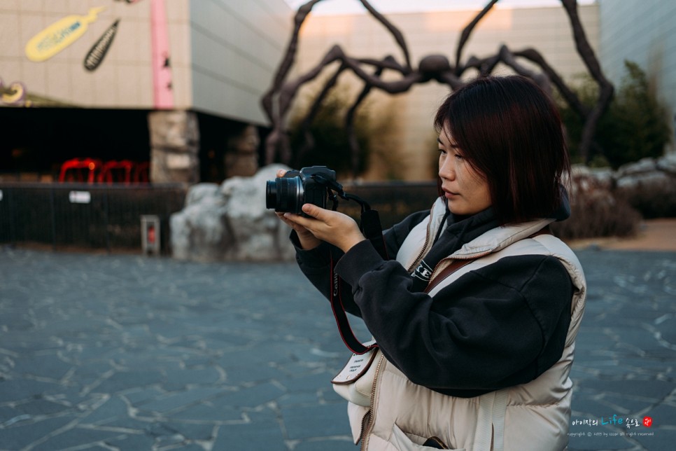 동영상 미러리스 브이로그 카메라 추천 캐논 EOS R7과 대구여행