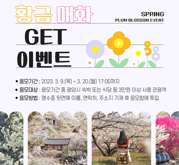 2024 광양매화축제 봄꽃축제 기본 정보와 광양매화마을 2023년 풍경