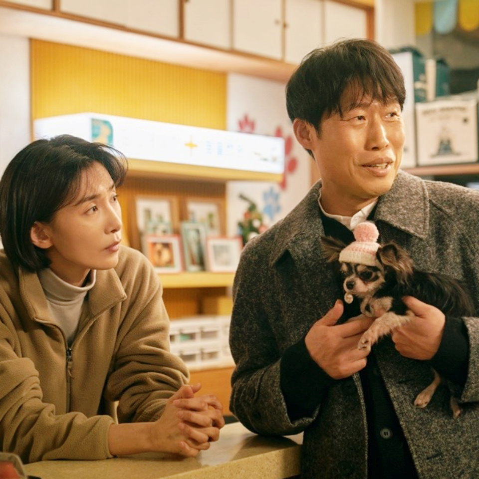 도그데이즈 평점 관람평 한국 가족 영화 쿠키 영상
