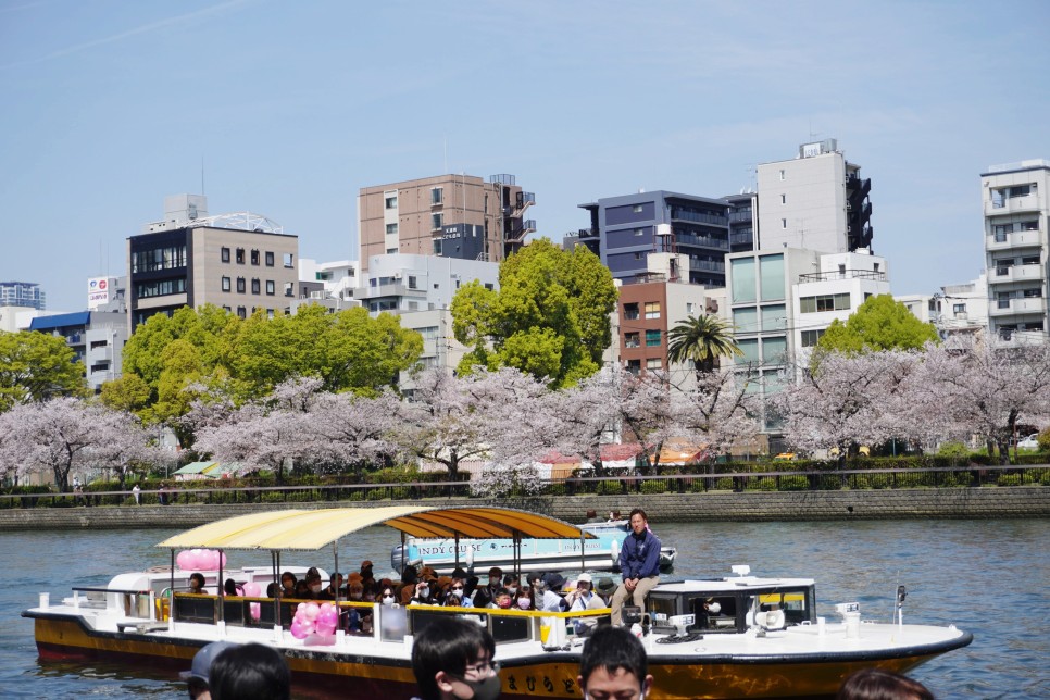 일본 항공권 특가 50% 예매, 오사카 교토 여행 코스 가볼만한곳
