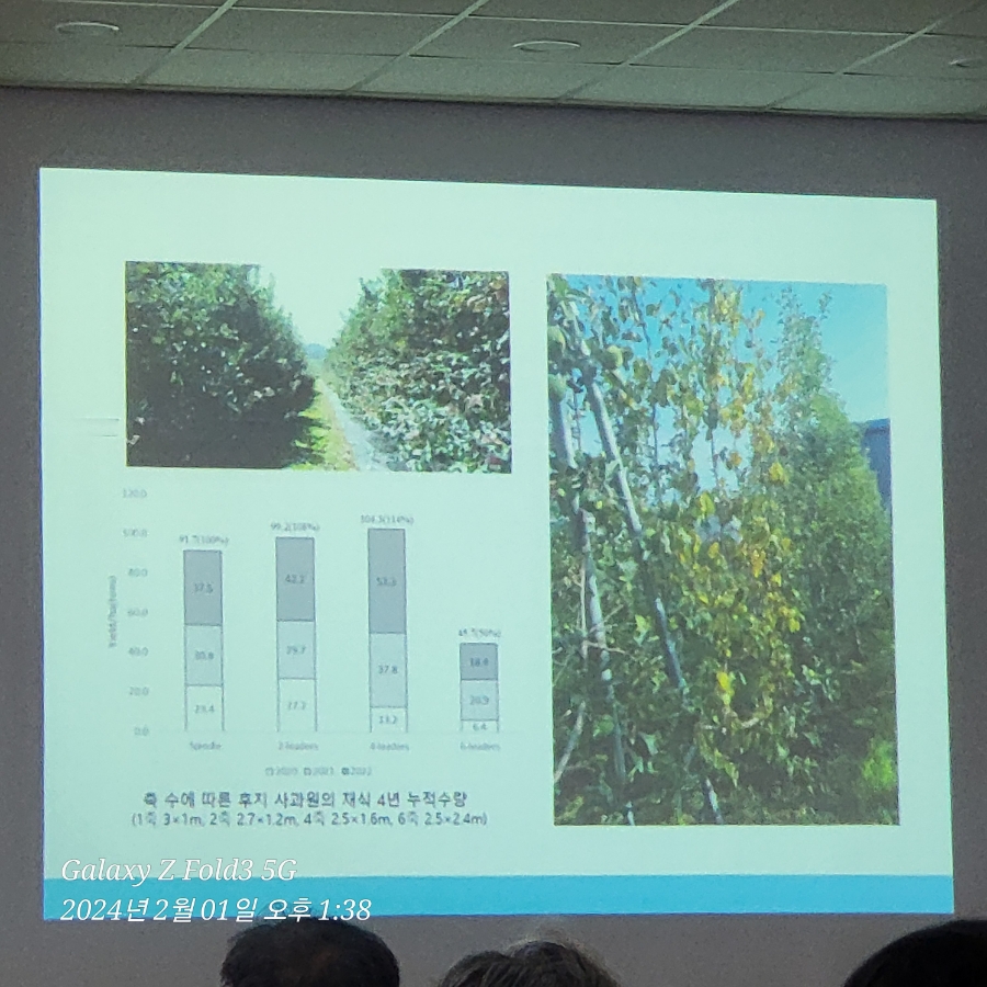 사과다축재배 평면수형 재배기술 관련 교육, 1교시 - 이론교육(강원도농업기술원)