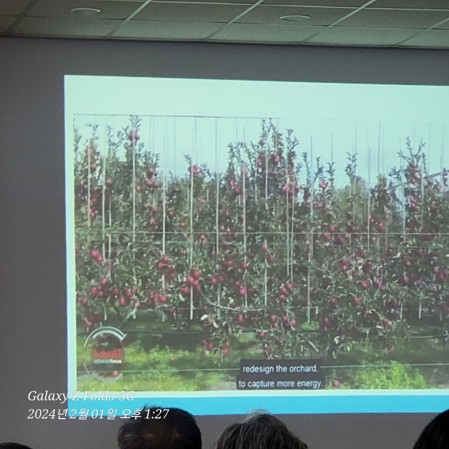 사과다축재배 평면수형 재배기술 관련 교육, 1교시 - 이론교육(강원도농업기술원)
