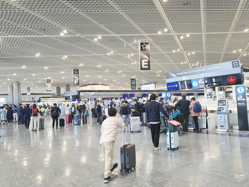 일본 도쿄 여행 도쿄 나리타 공항 대한항공 칼라운지 면세점