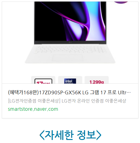 대학생 직장인 17인치 고성능 노트북 LG그램 프로 17ZD90SP-GX56K 후기