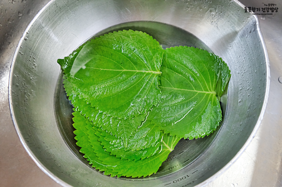 돼지고기 깻잎전 만들기 삼각 깻잎전 레시피 두부 깻잎전 만드는 법