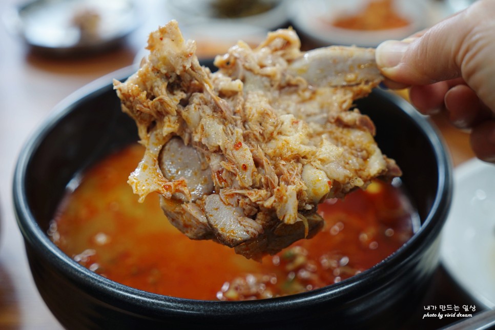 제주 접짝뼈국 고사리해장국 제주도 공항 근처 맛집 용두네해장국 돔베고기