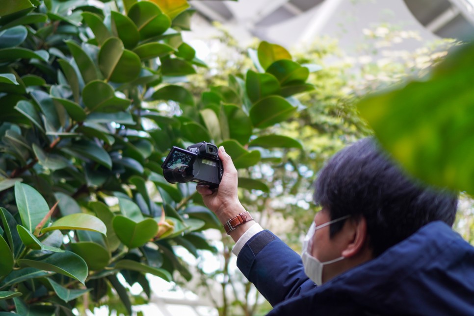 캐논 카메라 EOS R10 입문용 브이로그 동영상 카메라 추천
