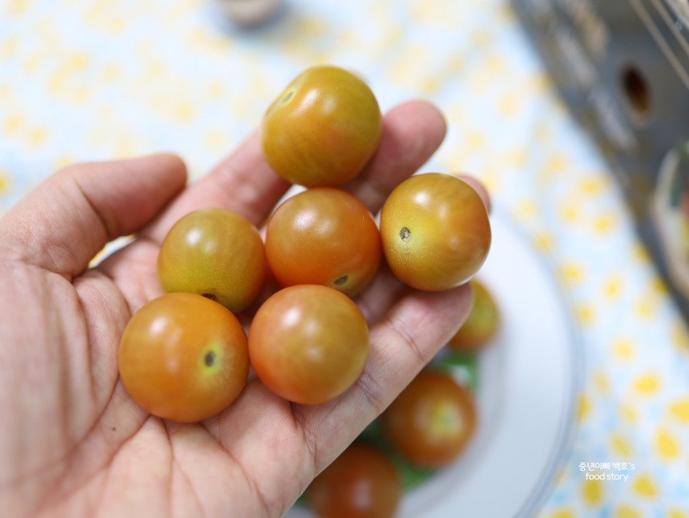 코스트코 체리토마토 보관법 방울토마토 세척 씻는법