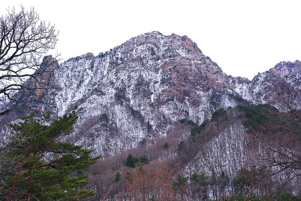 속초 가볼만한곳 속초 여행코스 설악산 신흥사 속초 막국수 카페 등