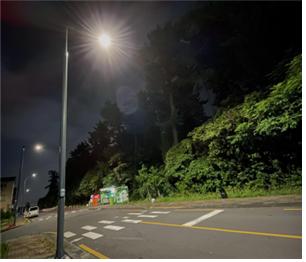 제주시, 횡단보도 안전조명등 조도개선사업 추진