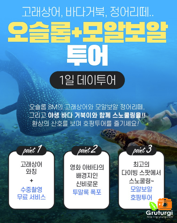 세부 한국인 가이드와 세부 오슬롭 고래상어 3월 해외여행 추천
