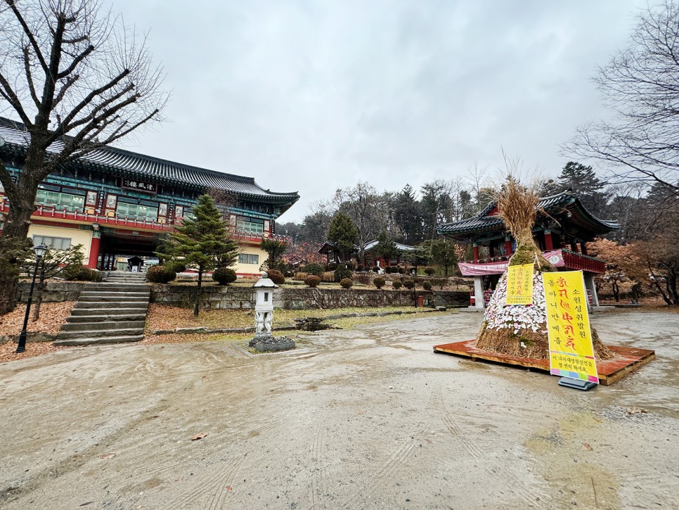 남양주 볼거리 많은 전통사찰 <봉선사>