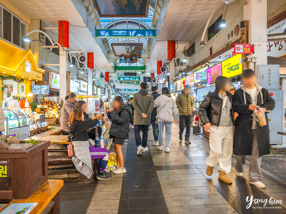 제주 서귀포 올레시장 먹거리 야시장 &제주도 흑돼지 무한리필