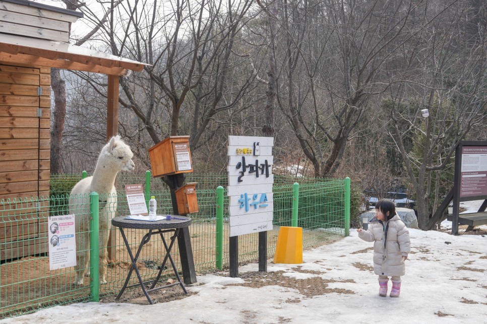 강원도 여행 홍천 숙소 아이랑 웰니스 프로그램 리조트 힐리언스 선마을 with.계피꿀차 황지담