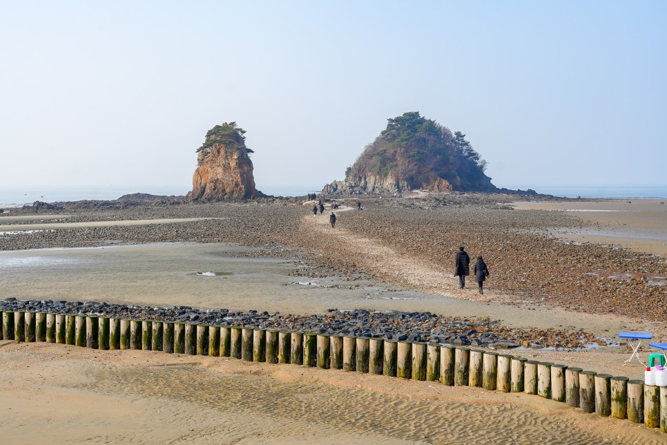 겨울 안면도 가볼만한곳 안면도자연휴양림 근처 태안 먹거리