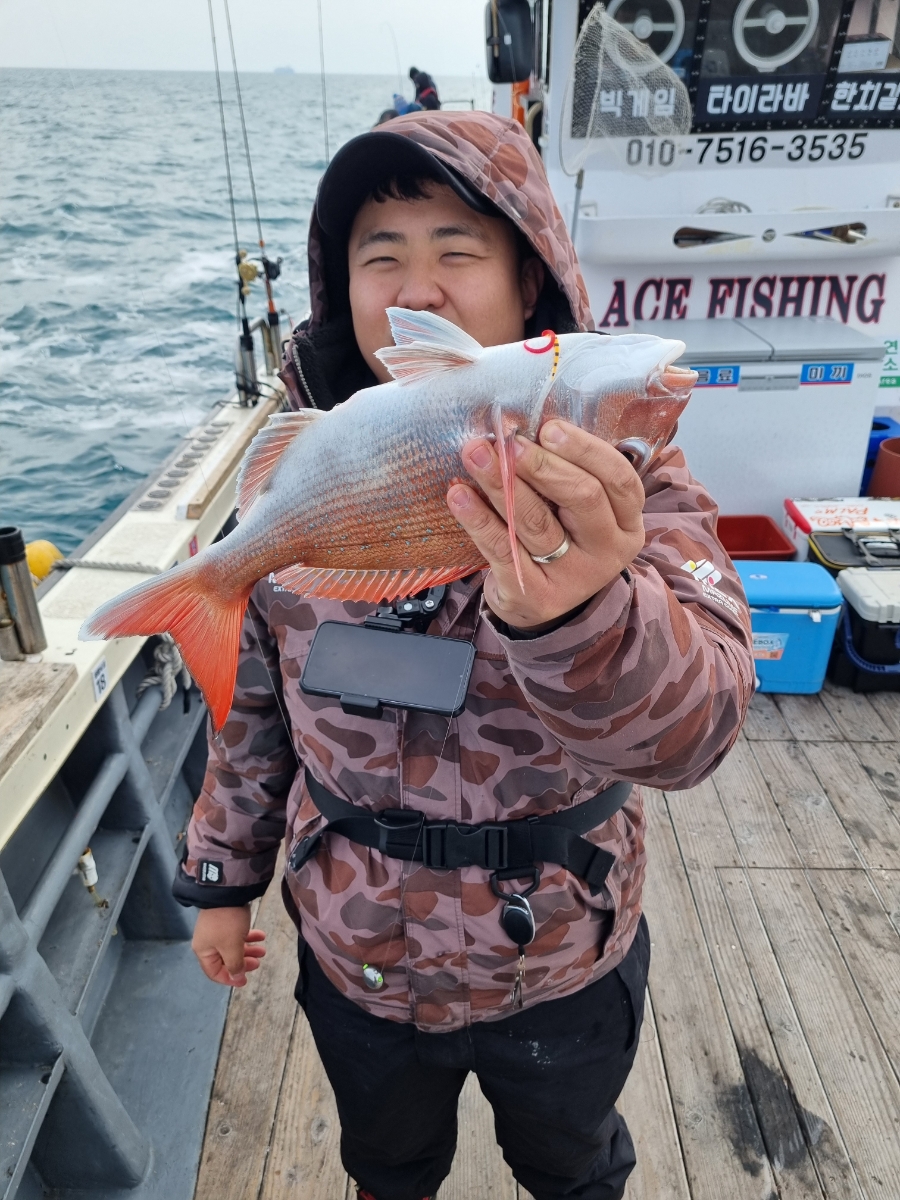 강진마량 뉴에이스호 타이라바낚시