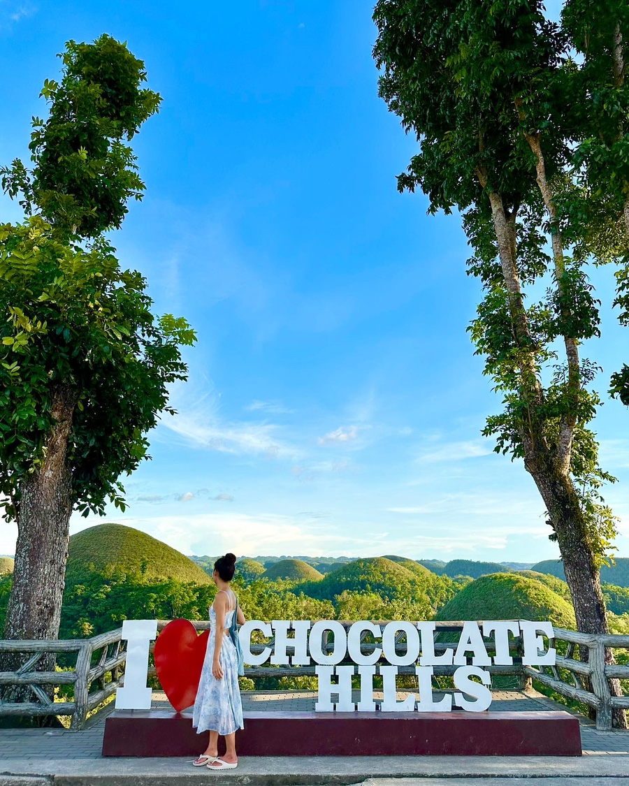 필리핀 보홀 자유여행 육상 투어 코스! 초콜릿힐, 짚라인, 로복강 맛집 +호핑투어 추천