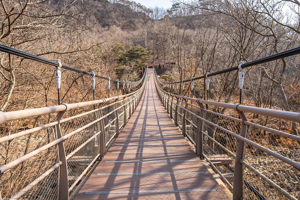 연천 가볼만한곳 경기도 연천 여행 연천 실내 아이와 가볼만한곳