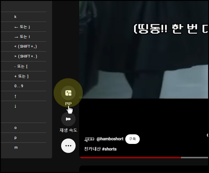 유튜브 쇼츠 컨트롤 확장앱, 자동 넘기기 / 재생 바와 속도 조절 / PIP 기능 활용하기