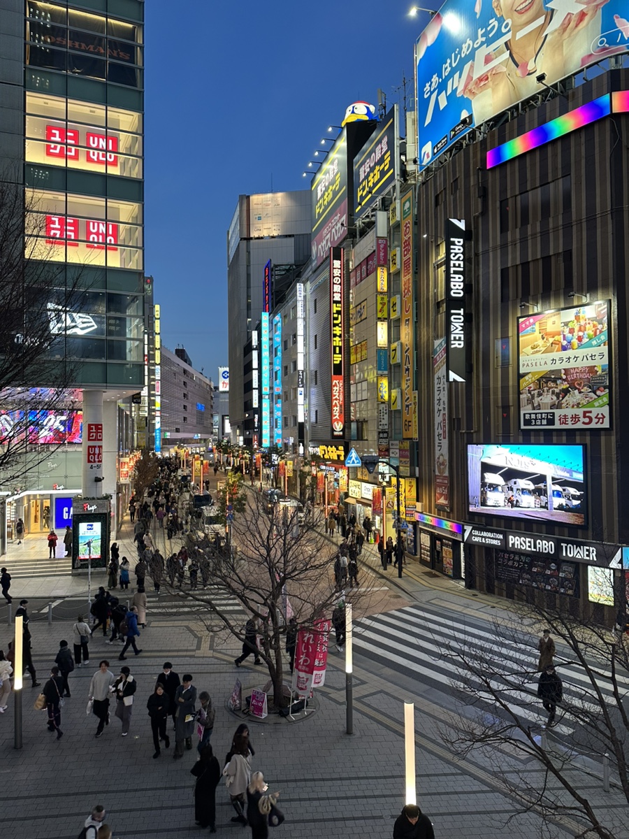 일본 포켓 와이파이 도시락 구성품, 당일 할인 & 2월 도쿄 자유여행 날씨 지금 옷차림, 쇼핑