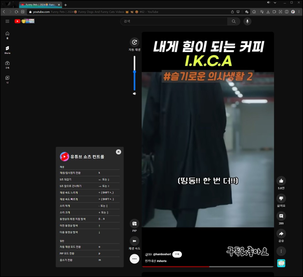 유튜브 쇼츠 컨트롤 확장앱, 자동 넘기기 / 재생 바와 속도 조절 / PIP 기능 활용하기