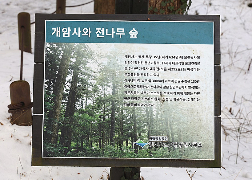 [변산반도국립공원] 호젓한 개암사와 전나무숲! 내소사 못지 않아.