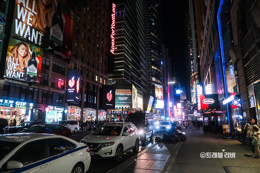 뉴욕여행 타임스퀘어 브루클린 다보는 뉴욕 야경 투어 코스
