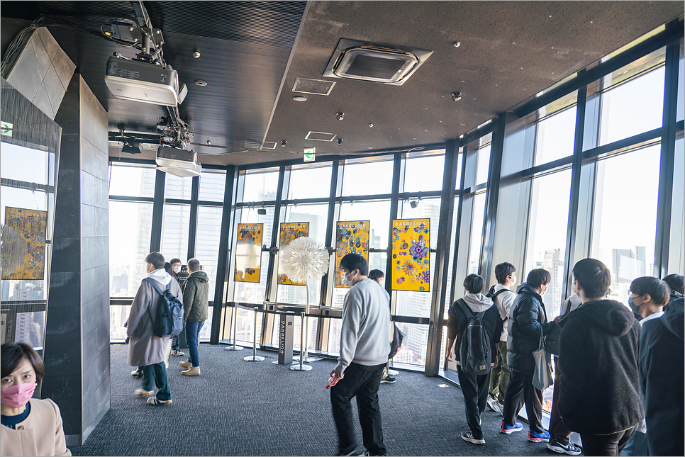 도쿄타워 예약 입장료 일본 관광지 도쿄여행