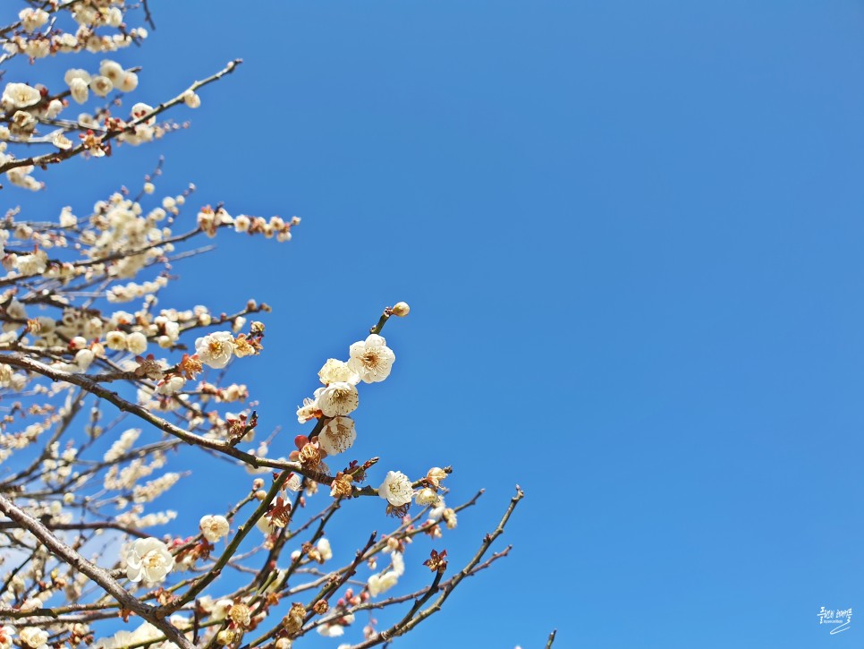 실시간 일본 후쿠오카 여행 2월 후쿠오카 날씨 가볼만한곳