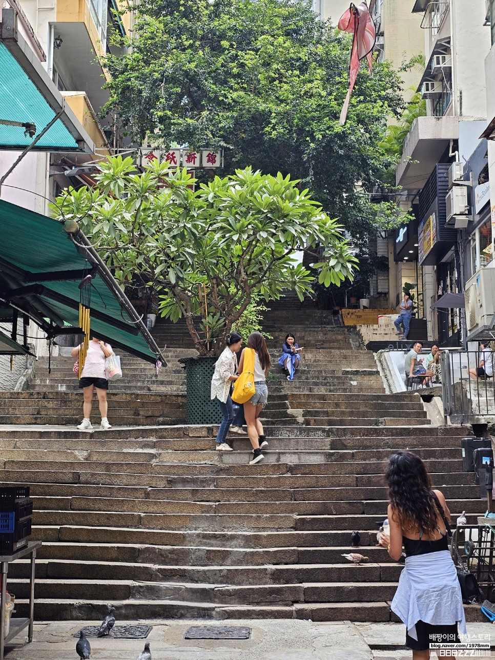 홍콩 여행 코스 가볼만한곳 셩완 카페 소호 벽화거리 맛집 홍콩자유여행