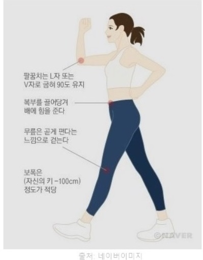 급찐 살 다이어트 체지방 빼는법 빨리 빼는 운동 추천 걷기 실내 줄넘기 수영 효과 칼로리