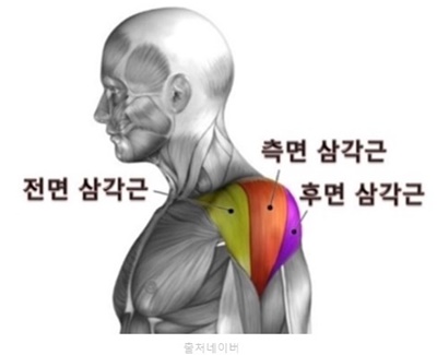 남자 여자 어깨 넓어지는 운동 루틴 덤벨 사이드레터럴레이즈 프론트레이즈 벤트오버 레터럴레이즈 (전면 측면 후면 삼각근)