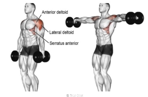남자 여자 어깨 넓어지는 운동 루틴 덤벨 사이드레터럴레이즈 프론트레이즈 벤트오버 레터럴레이즈 (전면 측면 후면 삼각근)