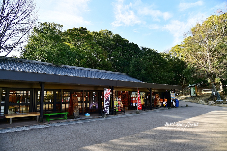 일본 여행 무료 리프트 타고 오른 마쓰야마성 천수각
