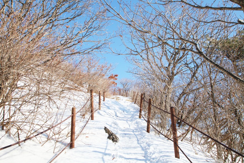 [소백산국립공원] 바람의 이야기 소백산 연화봉 겨울 산행
