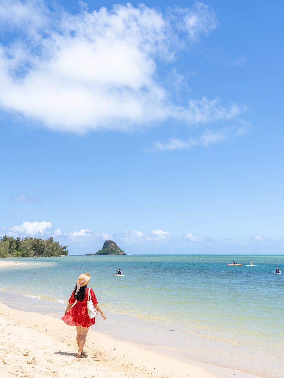 하와이 여행 가볼만한곳 쿠알로아랜치 투어 + 하와이 신혼여행