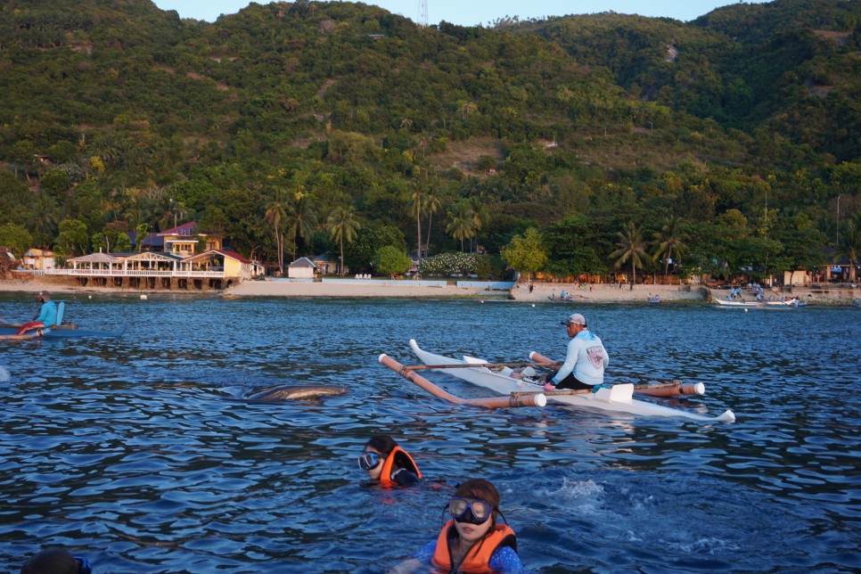 필리핀 세부 3박5일 패키지 여행 경비 및 코스 : 다이빙, 호핑투어, 오슬롭 투어 자유여행 후기!