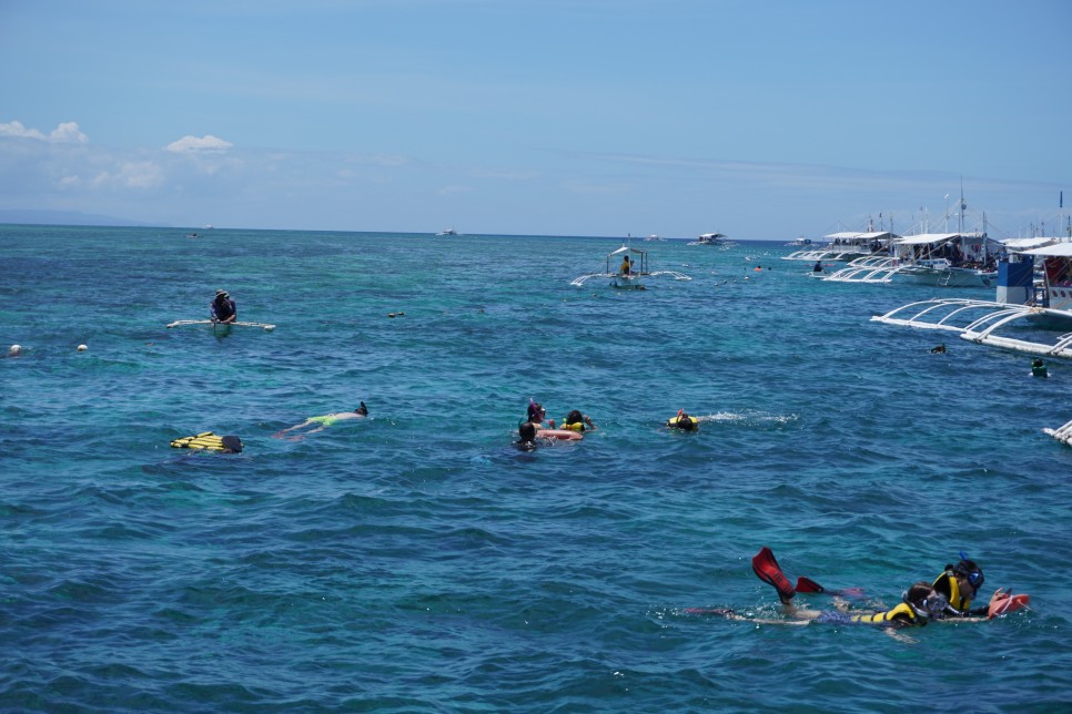 필리핀 세부 3박5일 패키지 여행 경비 및 코스 : 다이빙, 호핑투어, 오슬롭 투어 자유여행 후기!