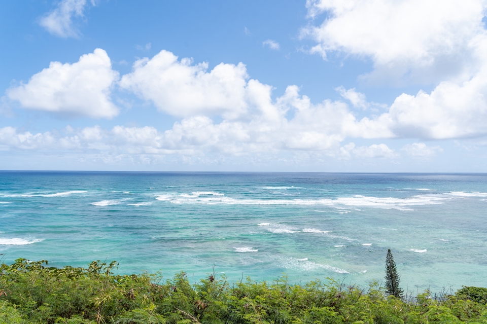 하와이 여행 가볼만한곳 쿠알로아랜치 투어 + 하와이 신혼여행