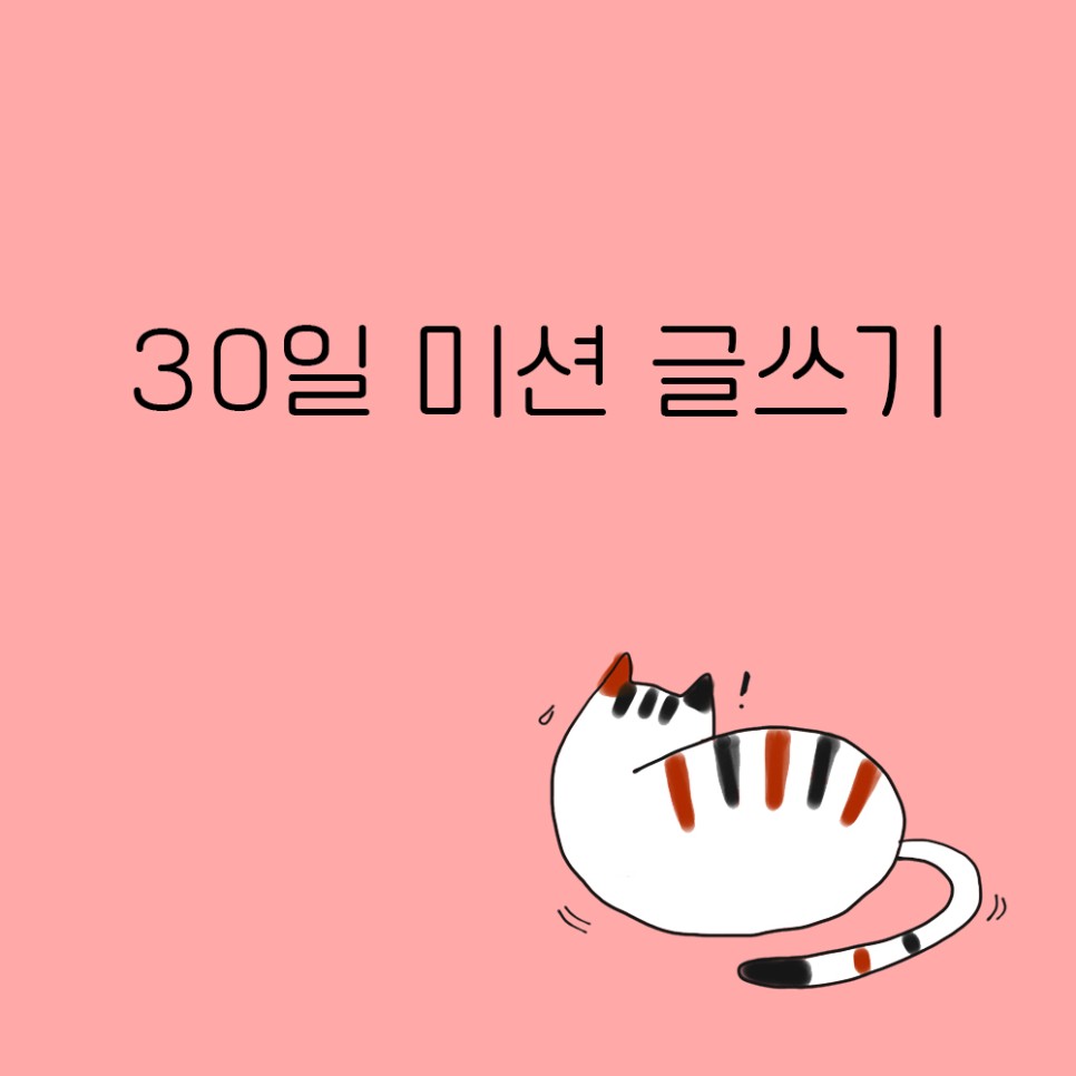 30일 매일 글쓰기로 매달 한 권의 책 만들기! 초보 정식 출판 작가 프로젝트는 ing