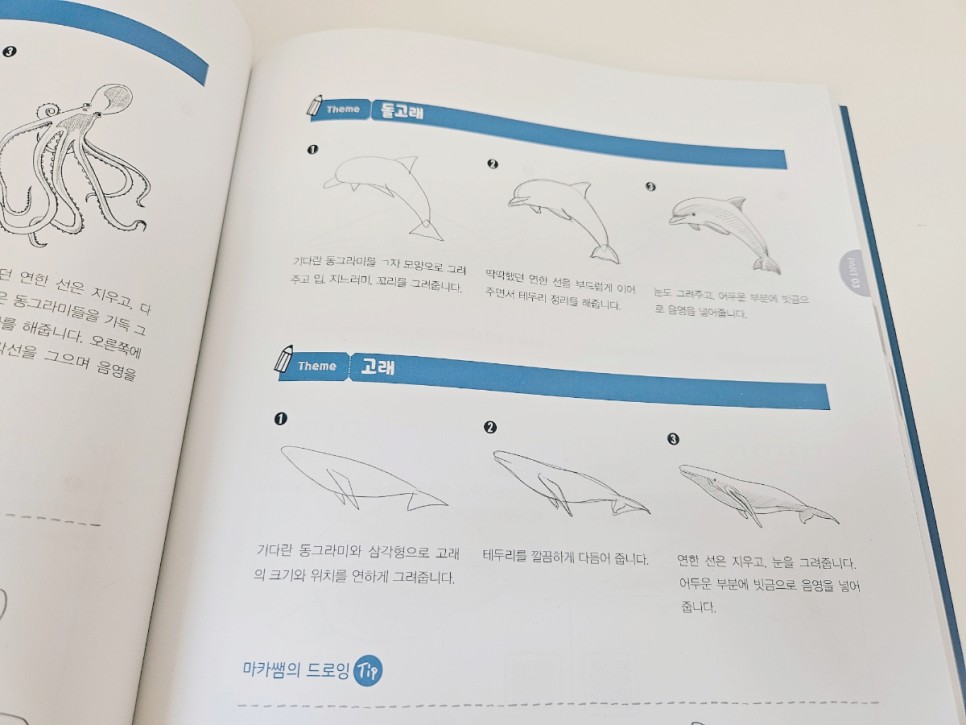 스케치 그림그리기 일상 속 차근차근 연필드로잉 마카쌤