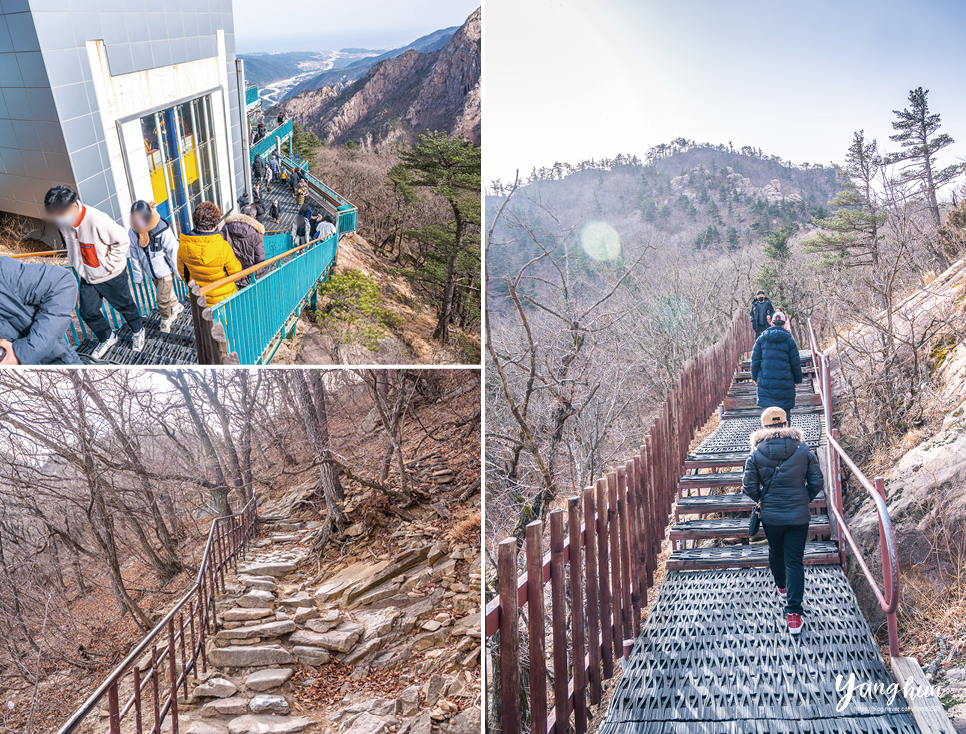 강원도 속초 가볼만한곳 근처 아이와 속초여행