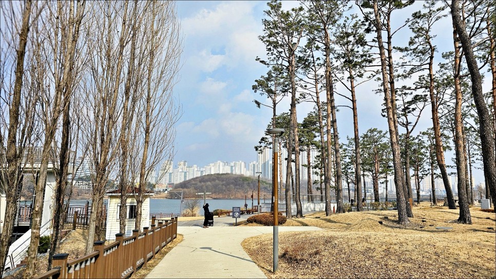 동탄 가볼만한곳 동탄호수공원 애견동반식당 소코아 서울근교 산책!